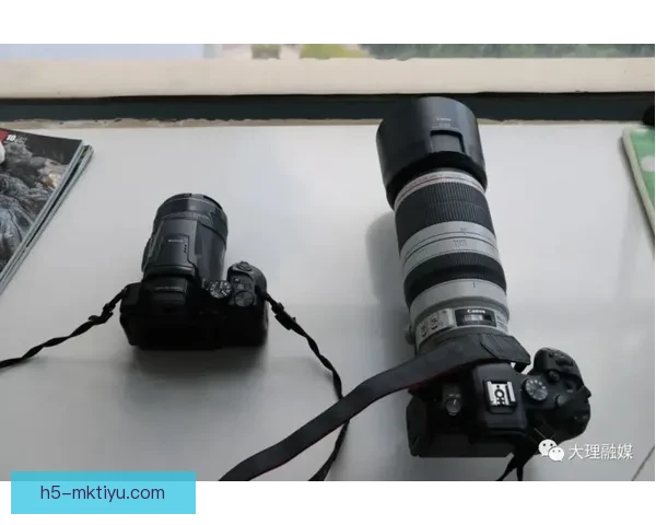 广东三少闪光黄明依却被DNP